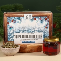 Подарочный набор &laquo;Тайны матушки зимы&raquo;: сбор трав 3 шт. х 20 г., варенье из сосновых шишек, 100 мл.