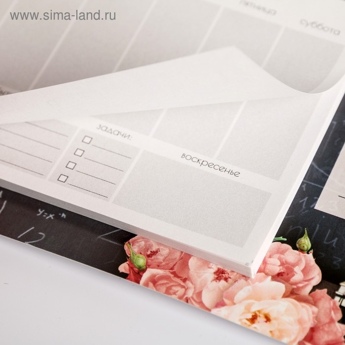 Планер на магнитах с отрывными листами «Учителю: Лучший учитель», 50 л., 15 х 20 см (размер части для заполнения 10 х 13 см) Планер на магнитах с отрывными листами «Учителю: Лучший учитель», 50 л., 15 х 20 см (размер части для заполнения 10 х 13 см)