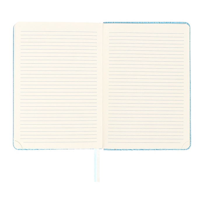 Ежедневник датированный 2025 года A5, 168 листов, deVENTE. Barbara, твердая обложка кожзам с поролоном, перфорацией, ляссе, блок 70, голубой