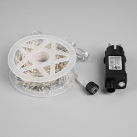 Гирлянда &laquo;Мишура&raquo; 20 м роса, IP44, серебристая нить, 600 LED, 8 режимов, свечение белое, 18 В