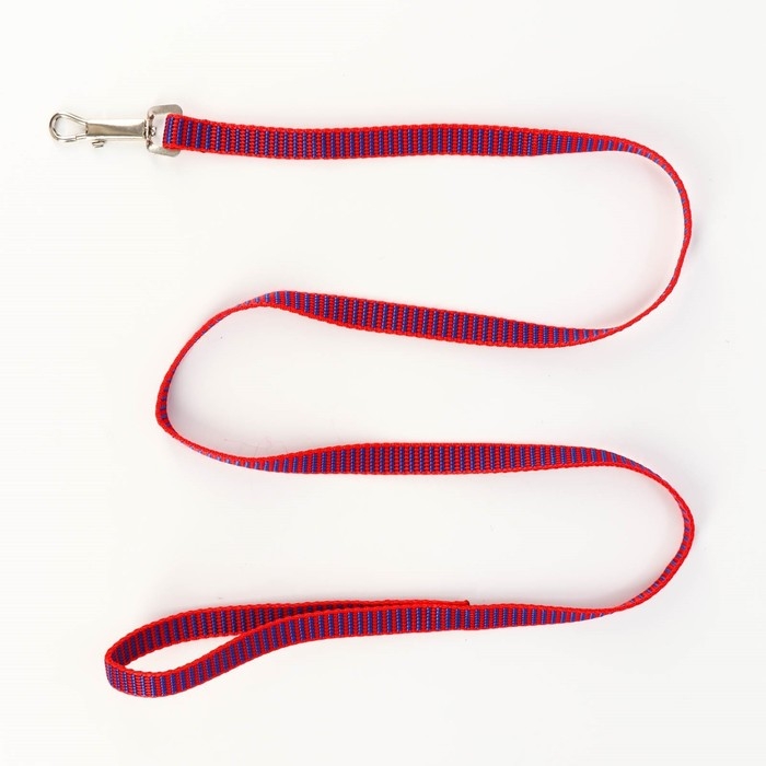 Комплект амуниции рельефный, поводок 120 х 1,5 см, ОГ 36-49 см, красно-синий