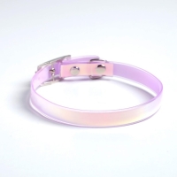 Ошейник для собак и кошек с фастексом &laquo;Неон&raquo;, 30 х 1 см