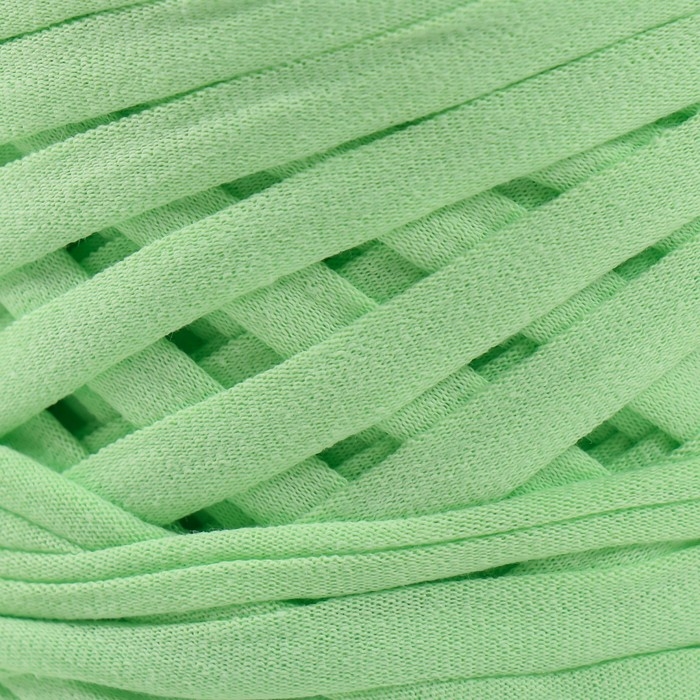 Трикотажная пряжа, ширина 7-9 мм, 100м/295 гр&plusmn;10% (21 - фисташка)