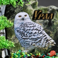 Сувенир-скол "Сова", змеевик, каменная крошка, большой, микс Сувенир-скол "Сова", змеевик, каменная крошка, большой, микс