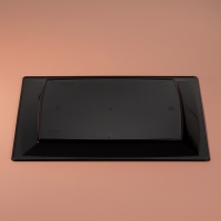 Тарелка пластиковая одноразовая, 17,2&times;17,2 см, квадратная, плоская, МИКС