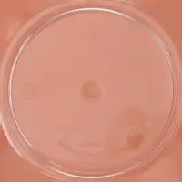 Форма пластиковая одноразовая для фуршета &laquo;Цветок&raquo;, 350 мл, прозрачная