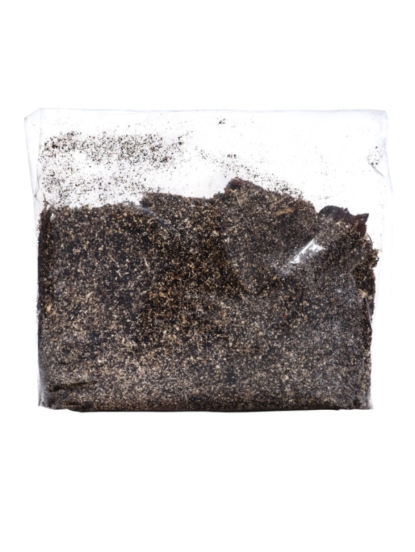 Хоста "Antioch", р-р I, размер ML,1 шт, Весна 2025, ЭКОНОМ,