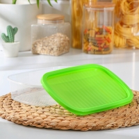 Набор пищевых контейнеров &laquo;BioFresh&raquo;, 3 шт: 500 мл, 1 л, 1.6 л, цвет прозрачный, крышки МИКС