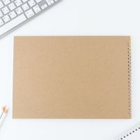 Скетчбук А4, 40 л. 100 г/м &laquo;Аниме&raquo;