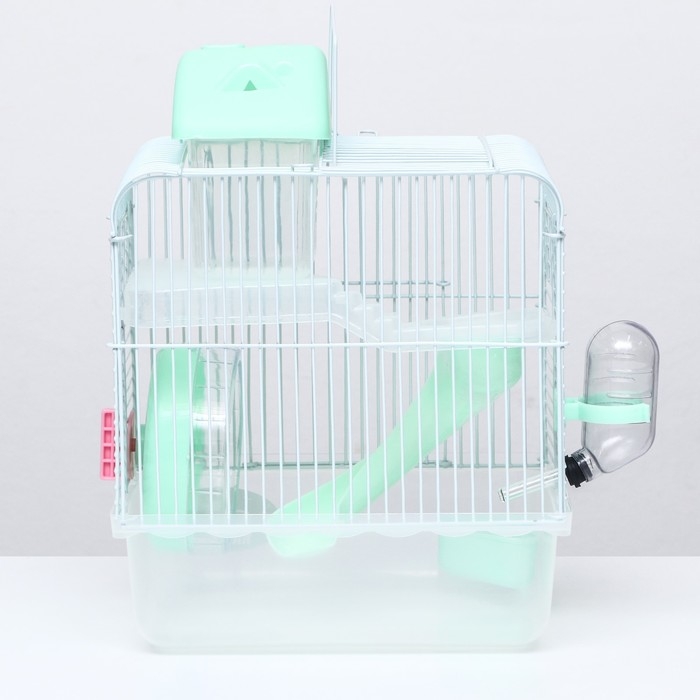 Клетка для грызунов Клетка для грызунов "Пижон", 23 х 17 х 33 см, прозрачная, зелёное наполнение