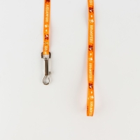 Комплект &laquo;Любимчик&raquo;, шлейка 24-34 см, поводок 120х1 см