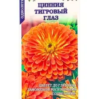 Семена Цинния Тигровый глаз /Сотка/ 0,2г/ оранж. h-80см, d-15см/*1000