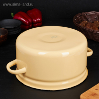 Кастрюля эмалированная, 5,5 л, без деколи, цвет МИКС Кастрюля эмалированная, 5,5 л, без деколи, цвет МИКС