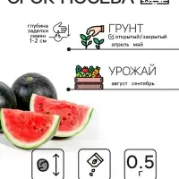 Семена Арбуз "Огонек", 0,5 г