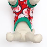 Толстовка для животных "Снеговик", размер XS, красная (ДС 21, ОШ 20, ОГ 30 см) Толстовка для животных "Снеговик", размер XS, красная (ДС 21, ОШ 20, ОГ 30 см)