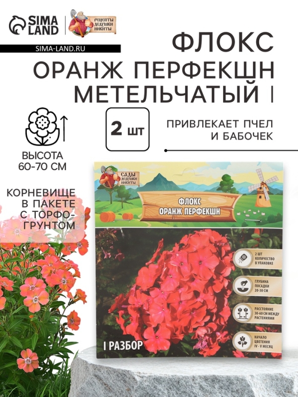 Флокс &laquo;Оранж Перфекшн&raquo; метельчатый, корневище в пакете с торфогрунтом, р-р I, 2 шт.