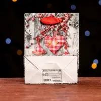 Пакет ламинированный &laquo;Праздничные забавы&raquo; 11.5&times;14.5&times;6 см