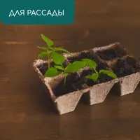 Кассета для рассады, 28 &times; 20 &times; 9 см, 6 ячеек по 400 мл, торф, 9 &times; 9 см