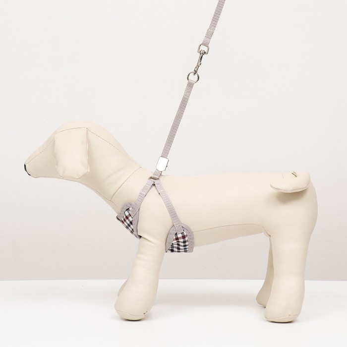 Комплект амуниции с мягкой шлейкой, поводок 120 х 1 см, ОГ 34-58 см, синяя клетка