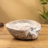 Свеча в кокосе, 20х20х7 см, цв. белый