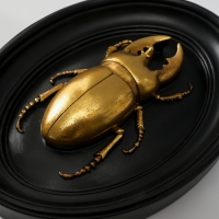 Панно интерьерное полистоун "Жук-олень" чёрный с золотом 15х3х19 см