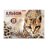 Альбом для рисования А4, 20 листов, блок 120 г/м², на клею, Erich Krause "Wild Cat", 100% белизна, твердая подложка Альбом для рисования А4, 20 листов, блок 120 г/м², на клею, Erich Krause "Wild Cat", 100% белизна, твердая подложка