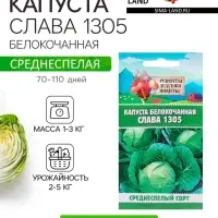 Семена Капуста белокочанная "Слава 1305", 0,5 г