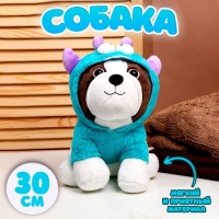 Мягкая игрушка &laquo;Собака&raquo;, в костюмчике, 30 см