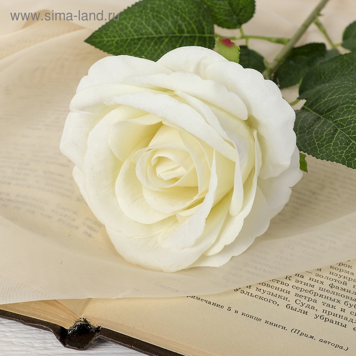Цветы искусственные &laquo;Роза боливийская&raquo; 8х55 см, белый