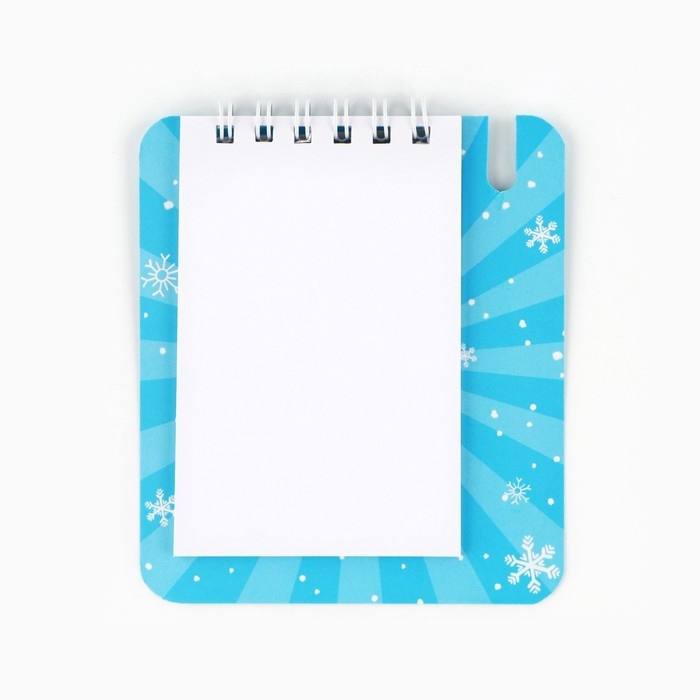 Подарочный набор новогодний, блокнот и мини ручка, 32 листа &laquo;Загадай желание! Символ года&raquo;