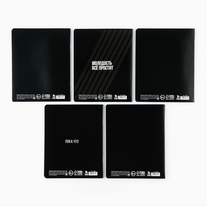 Тетрадь в клетку, 48 листов А5 на скрепке МИКС, &laquo;1 сентября: Шрифтовые черные&raquo;, обложка мелованный картон 230 грблок №1  белизна 96%