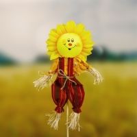 Огородное пугало «Солнце», h = 50 см, МИКС, Greengo Огородное пугало «Солнце», h = 50 см, МИКС, Greengo