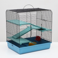 Клетка для грызунов "Сеня 3-Б", 49 x 36 x 51 см, микс цветов Клетка для грызунов "Сеня 3-Б", 49 x 36 x 51 см, микс цветов