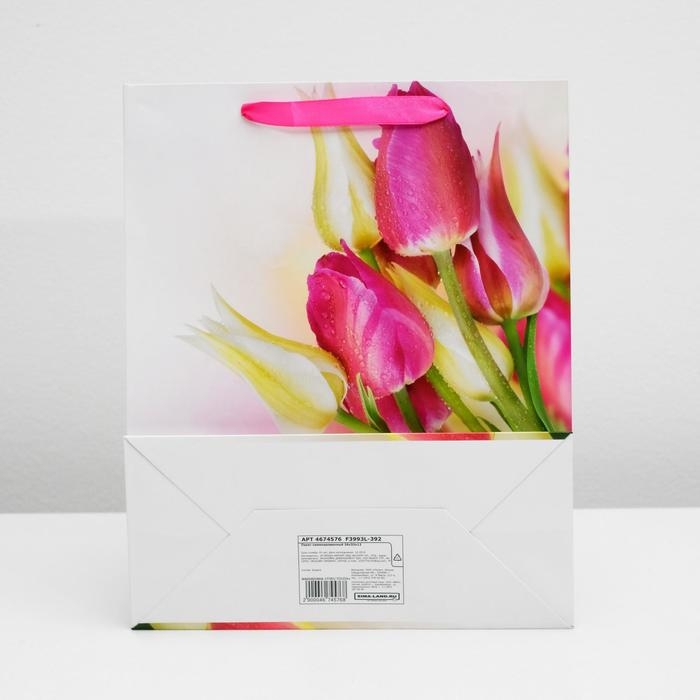 Пакет ламинированный, 26 x 32 x 12 см