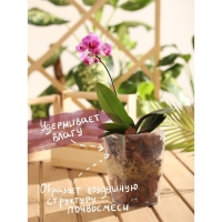 Набор компонентов для орхидей "Рецепты Дедушки Никиты" 1 л. Набор компонентов для орхидей "Рецепты Дедушки Никиты" 1 л.