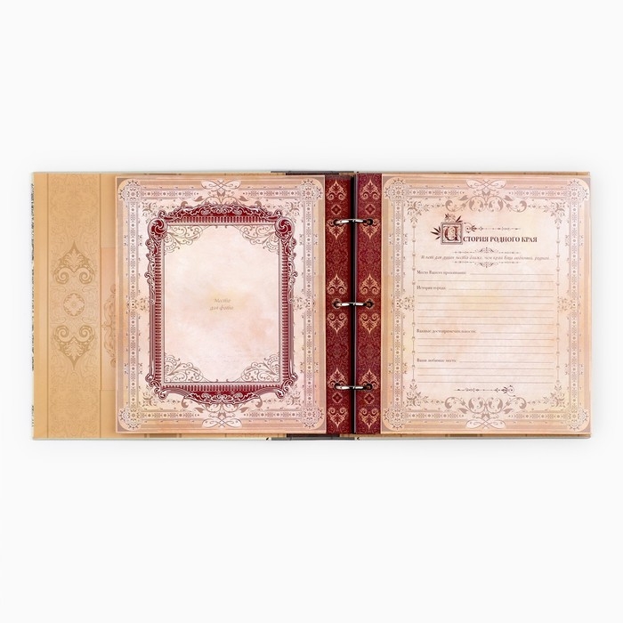 Родословная книга с рамкой под фото &laquo;Семейная&raquo;, 21,5 х 23,7 см.