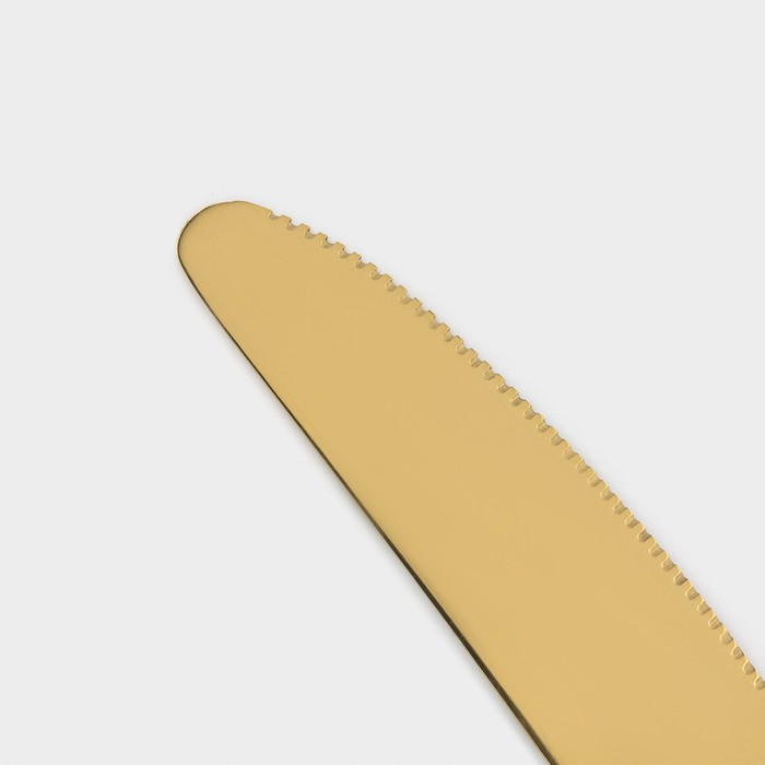 Набор столовых приборов из нержавеющей стали &laquo;Золото&raquo;, 24 предмета, на подставке, цвет золотой