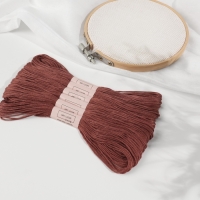 Набор ниток мулине №3858, 8 &plusmn; 1 м, 6 шт, цвет бронзовый