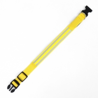 Ошейник с подсветкой Двойная полоса размер M, ОШ 40-48 х 2,5 см, 3 режима свечения жёлтый Ошейник с подсветкой Двойная полоса размер M, ОШ 40-48 х 2,5 см, 3 режима свечения жёлтый