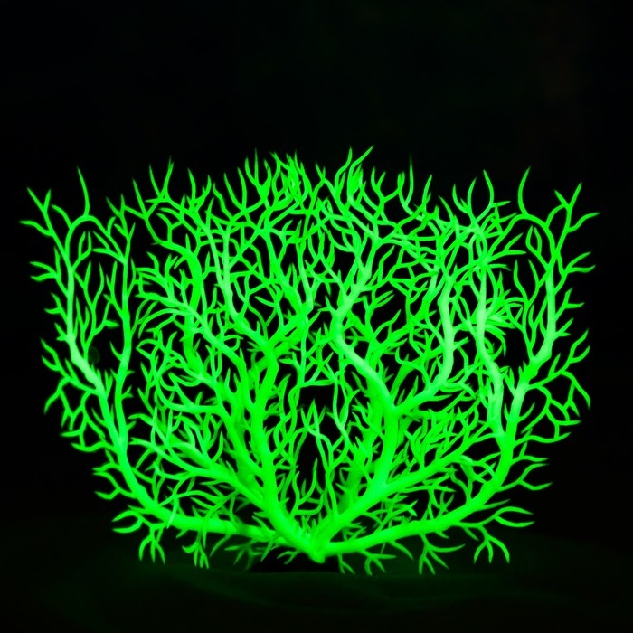 Растение искусственное аквариумное, светящееся, 15 см, зелёное Растение искусственное аквариумное, светящееся, 15 см, зелёное