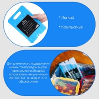 Аккумулятор холода гелевый "Мастер К", 600 мл, хладоэлемент для термосумок, 20 х 30 см