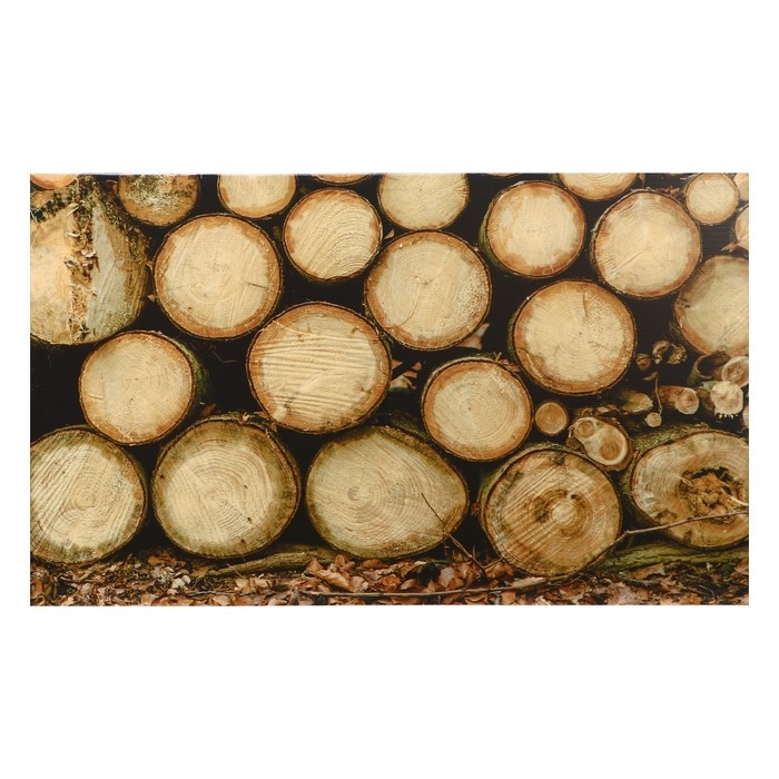 Картина Картина "Брёвна" 60*100 см