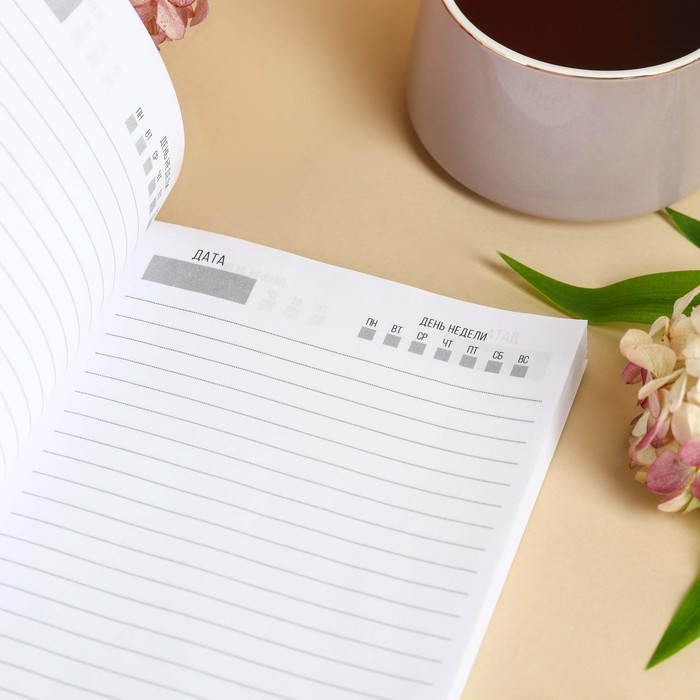 Подарочный набор &laquo;Мечты&raquo;: чай чёрный со вкусом: апельсин и шоколад 50 г, печенье с предсказанием 8 шт., ежедневник 80 листов