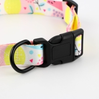 Ошейник &laquo;Сочное настроение&raquo;, застёжка - фастекс, 2.5 см, 40-55 см