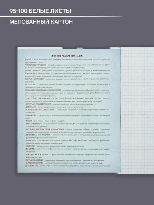 Тетрадь предметная 48 листов в клетку Calligrata, &laquo;География&raquo;, обложка мелованный картон