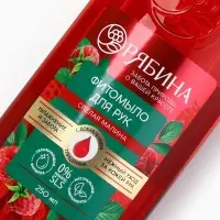 Мыло жидкое для рук, увлажнение и забота, аромат малины, 250 мл, Рябина