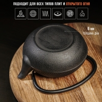 Чайник чугунный Magma &laquo;Восточная ночь&raquo;, 600 мл, с ситом, эмалированный внутри