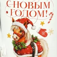 Кружка новогодняя стеклянная &laquo;С Новым годом. Пони&raquo;, 300 мл