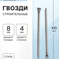 Гвозди ТУНДРА, строительные, ГОСТ 4028-63, без покрытия, 4&times;100 мм, 5 кг