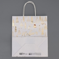 Пакет подарочный новогодний крафтовый &laquo;Новогодняя пора&raquo;, 22 х 25 х 12 см, Новый год